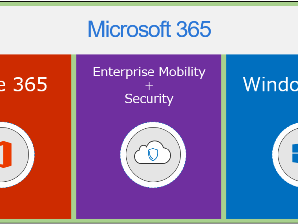【大企業向け】Microsoft 365 ライセンスについて正しく理解できていますか？