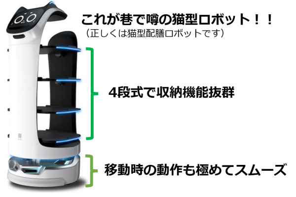 ネコ型ロボットを実体験してきました！